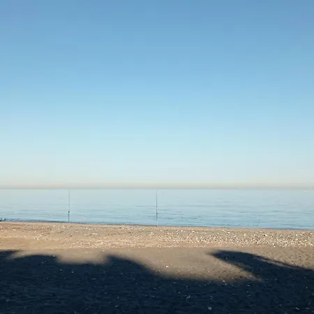 Sea Shells At Bahia Dorada * Estepona
