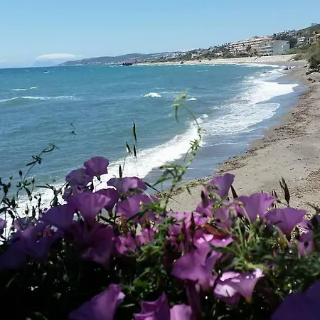 Sea Shells At Bahia Dorada Nyaraló Estepona